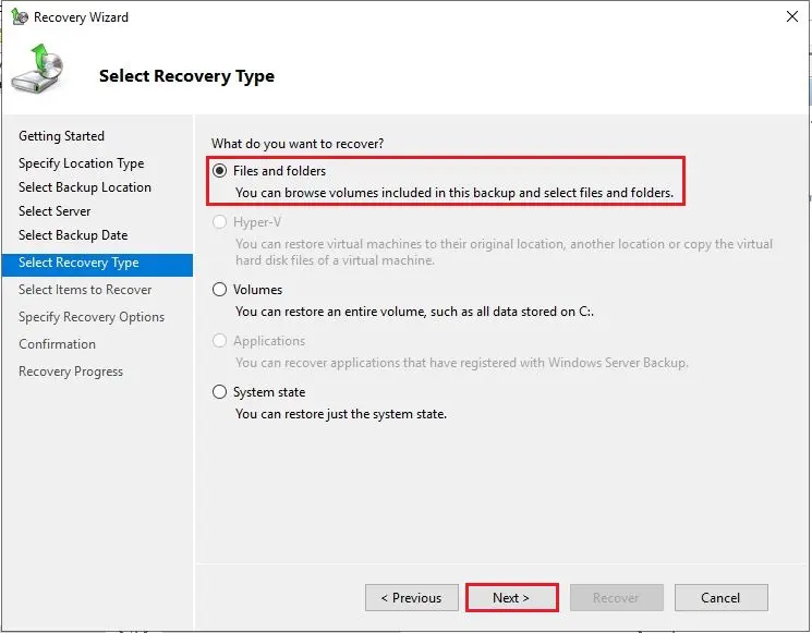 server recovery wizard recovery type