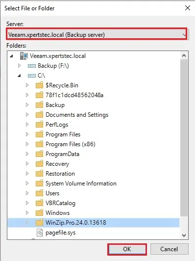 veeam select files and folder