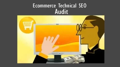 audit solve ecommerce website seo technical issues