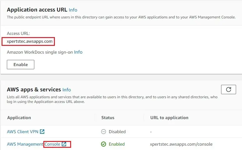 aws application access url