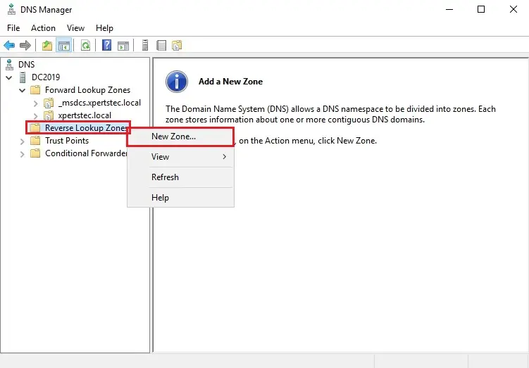 dns manager