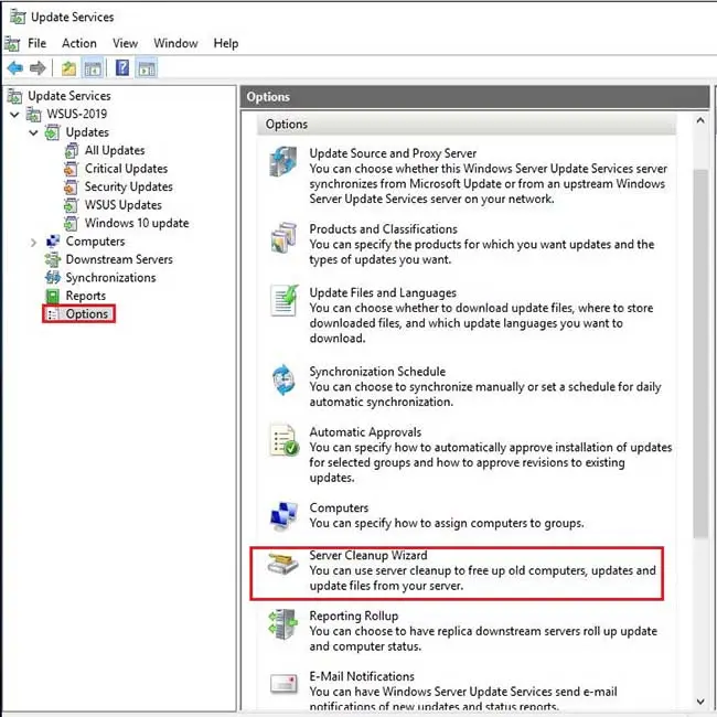 windows server update services options
