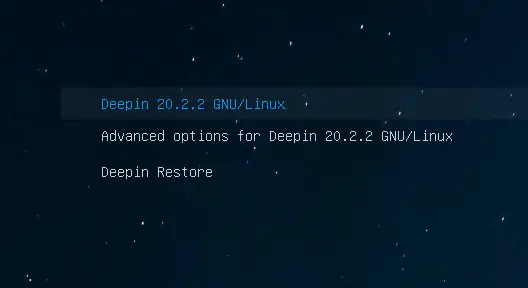 Deepin Linux 20 boot menu