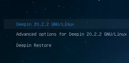 Deepin Linux boot menu
