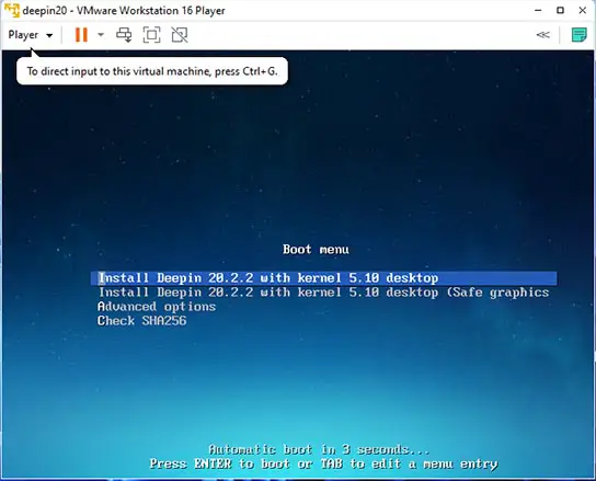 Deepin in VMware player boot menu