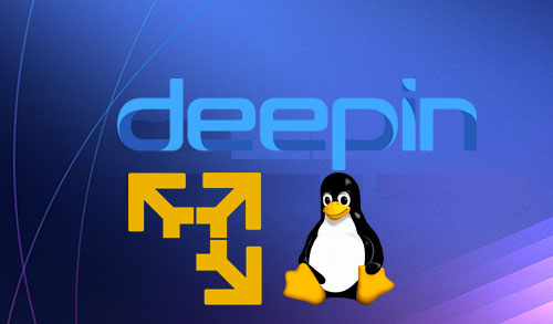 Install Deepin in VMware Player