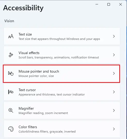 Accessibility mouse pointer and touch