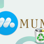 Uninstall Mumu App Player