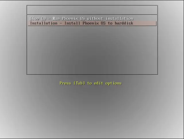 Install Phoenix OS screen