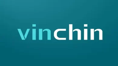 Vinchin Backup & Recovery Software