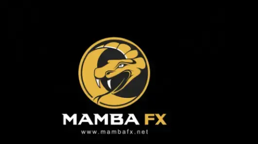 mamba fx course for free