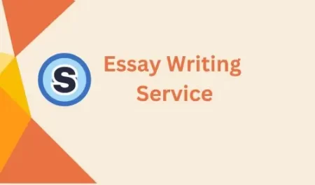 Essay Writing Service