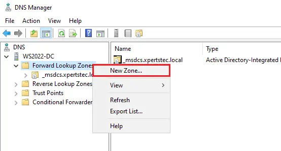 DNS Manager create new zone