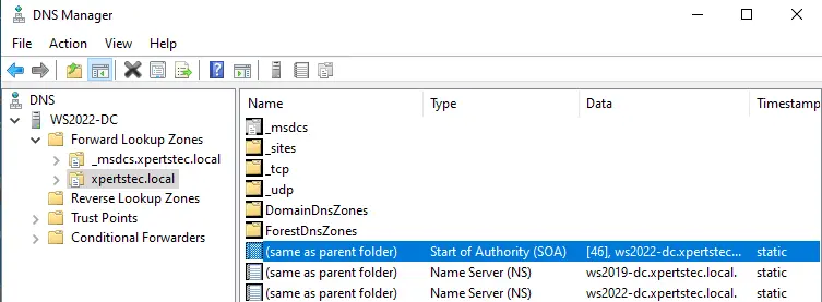 DNS manager local domain