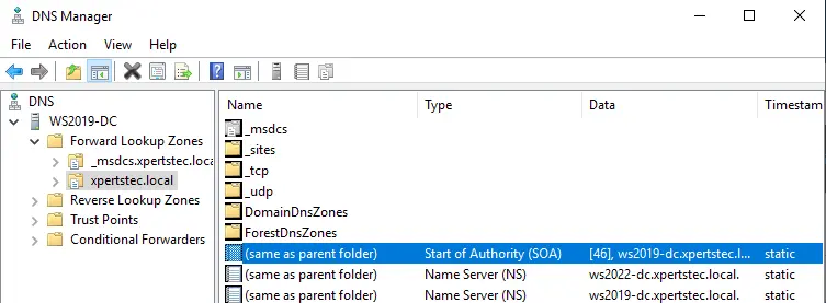 DNS manager local domain