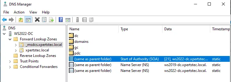 DNS manager msdcs