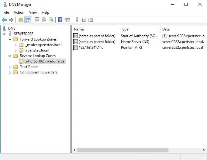 DNS server manager