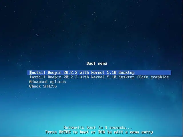 Deepin 20.2 boot menu