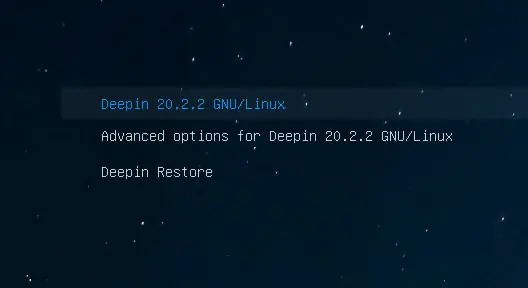 Deepin Linux 20 boot menu