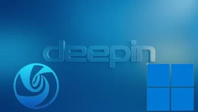 Dual Boot Deepin Linux and Windows