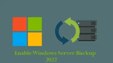 Enable Windows Server Backup Feature