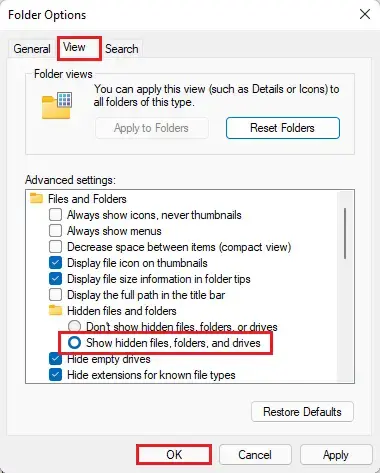 Folder options view tab