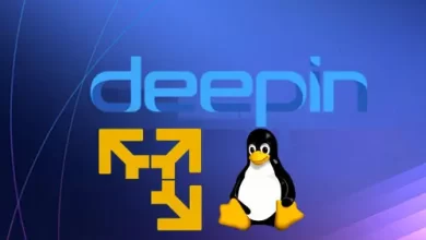 Install Deepin in VMware Player