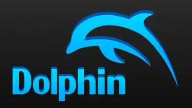 Install Dolphin Emulator