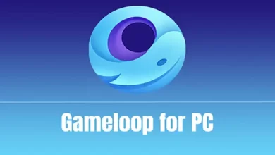 Install GameLoop Emulator