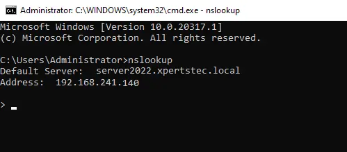 Nslookup command