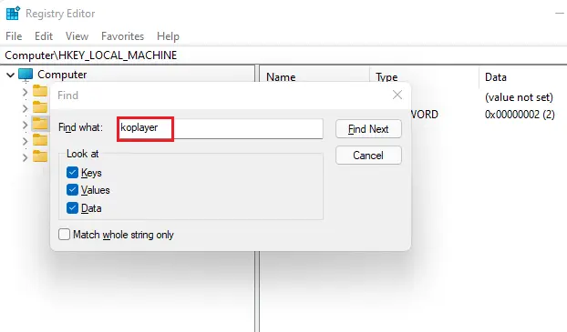 Registry editor find KOPLAYER