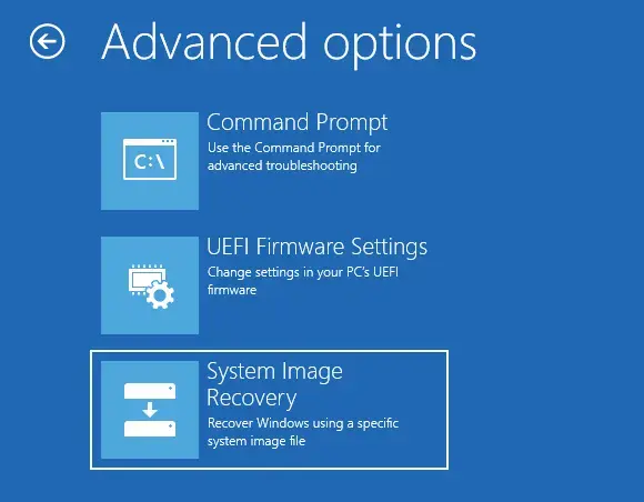 System image recovery advanced options