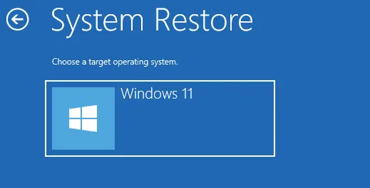 System restore target