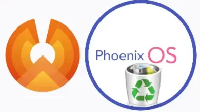 Uninstall Android Phoenix OS