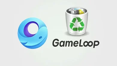 Uninstall Gameloop Emulator