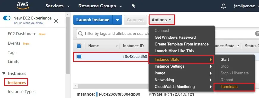 aws terminate ec2 instance