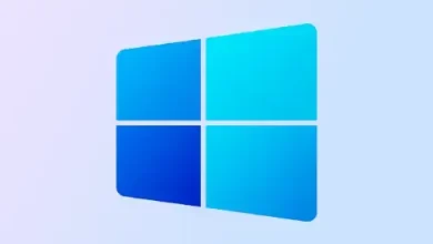 register windows insider program