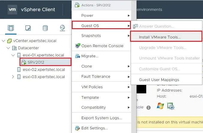 vsphere client install vmware tools