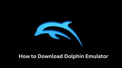 How to Download Dolphin Emulator