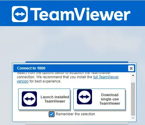 Download single-use teamviewer