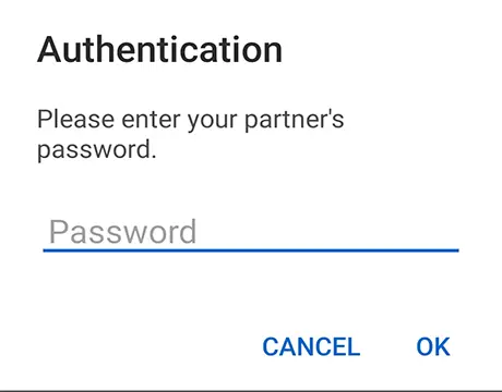 TeamViewer authentication