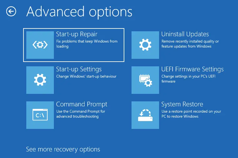 Windows advance options